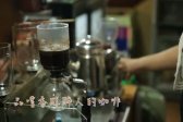 新社 喬木民宿-黃金咖啡生態之旅